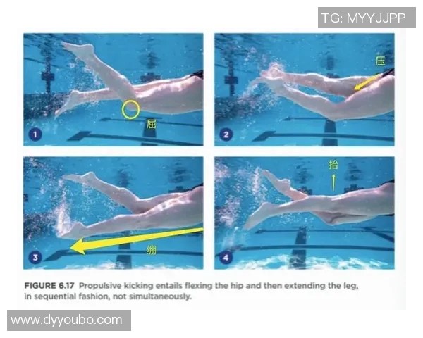 自由泳速度提升技巧大揭秘